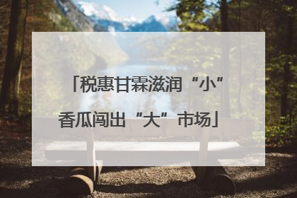 税惠甘霖滋润“小”香瓜闯出“大”市场