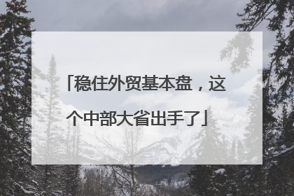 稳住外贸基本盘，这个中部大省出手了
