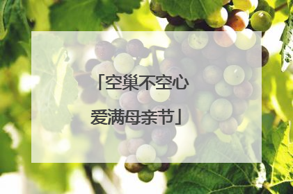 空巢不空心 爱满母亲节