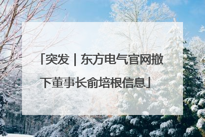 突发｜东方电气官网撤下董事长俞培根信息