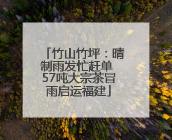 竹山竹坪：晴制雨发忙赶单 57吨大宗茶冒雨启运福建