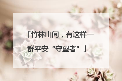 竹林山间，有这样一群平安“守望者”