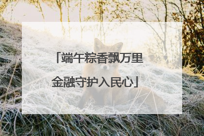 端午粽香飘万里 金融守护入民心