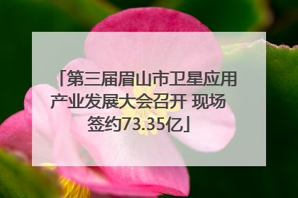 第三届眉山市卫星应用产业发展大会召开 现场签约73.35亿
