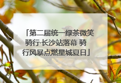 第二届统一绿茶微笑骑行·长沙站落幕 骑行风暴点燃星城夏日