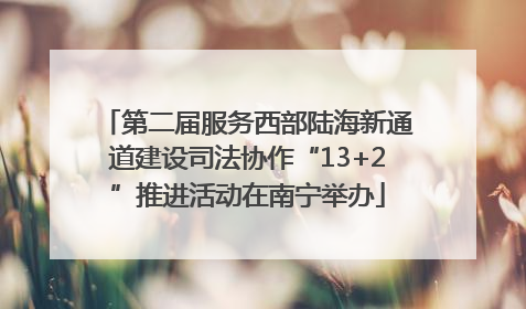 第二届服务西部陆海新通道建设司法协作“13+2”推进活动在南宁举办