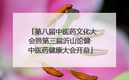 第八届中医药文化大会暨第三届沂山论健·中医药健康大会开幕
