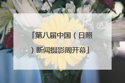 第八届中国（日照）新闻摄影周开幕