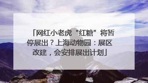 网红小老虎“红糖”将暂停展出？上海动物园：展区改建，会安排展出计划