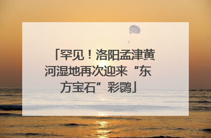 罕见！洛阳孟津黄河湿地再次迎来“东方宝石”彩鹮