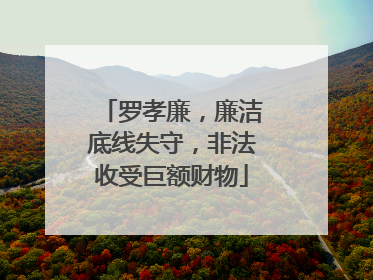 罗孝廉，廉洁底线失守，非法收受巨额财物