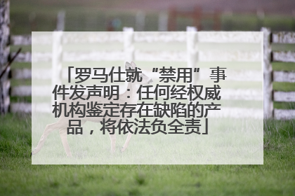 罗马仕就“禁用”事件发声明：任何经权威机构鉴定存在缺陷的产品，将依法负全责