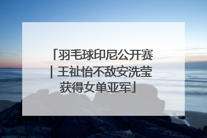 羽毛球印尼公开赛｜王祉怡不敌安洗莹 获得女单亚军