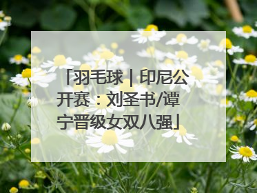 羽毛球｜印尼公开赛：刘圣书/谭宁晋级女双八强