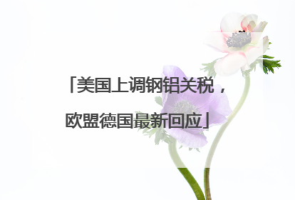 美国上调钢铝关税，欧盟德国最新回应