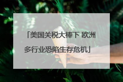 美国关税大棒下 欧洲多行业恐陷生存危机