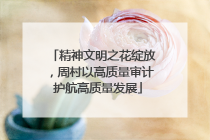 精神文明之花绽放，周村以高质量审计护航高质量发展