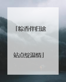 粽香伴归途 站点绽温情