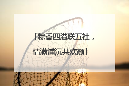 粽香四溢联五社，情满浦沅共欢颜