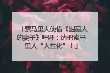 索马里大使借《掘墓人的妻子》呼吁：请把索马里人“人性化”！