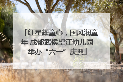 红星耀童心，国风润童年 成都武侯望江幼儿园举办“六一”庆典