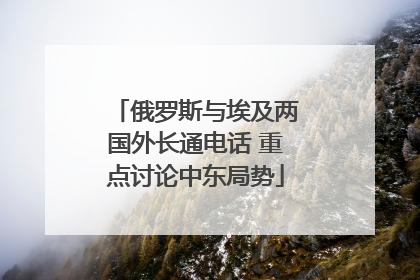 俄罗斯与埃及两国外长通电话 重点讨论中东局势