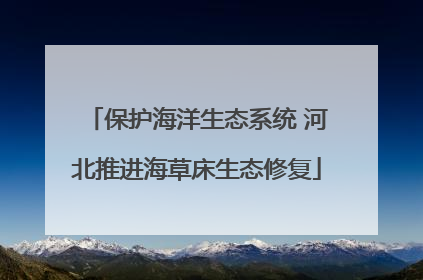 保护海洋生态系统 河北推进海草床生态修复
