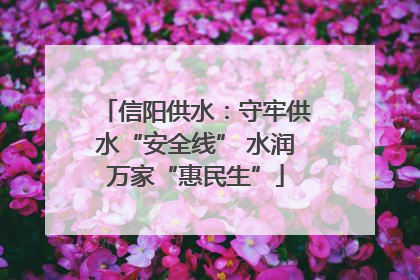 信阳供水：守牢供水“安全线” 水润万家“惠民生”