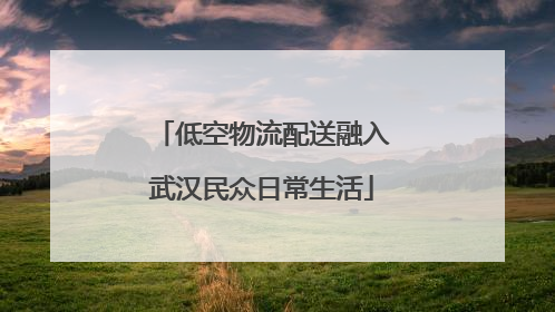 低空物流配送融入武汉民众日常生活