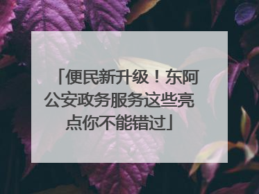 便民新升级！东阿公安政务服务这些亮点你不能错过