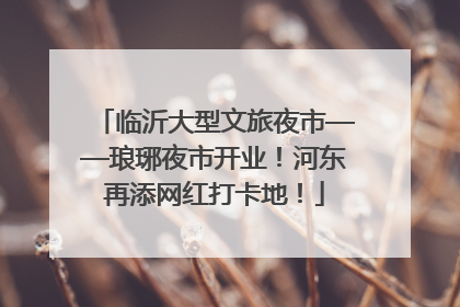 临沂大型文旅夜市——琅琊夜市开业！河东再添网红打卡地！