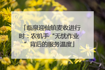 临泉迎仙镇麦收进行时：农机手“无忧作业”背后的服务温度