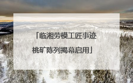 临湘劳模工匠事迹桃矿陈列揭幕启用