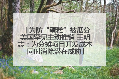 为防“蛋糕”被瓜分 美国罕见主动推销 王明志：为分摊项目开发成本同时消除潜在威胁