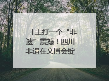 主打一个“非遗”震撼！四川非遗在文博会绽放时代光彩｜文博向“新”