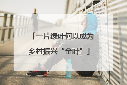 一片绿叶何以成为乡村振兴“金叶”
