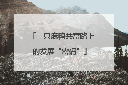 一只麻鸭共富路上的发展“密码”