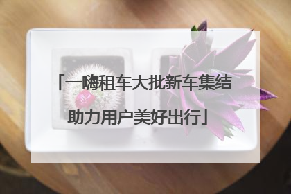 一嗨租车大批新车集结 助力用户美好出行