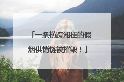 一条横跨湘桂的假烟供销链被摧毁！