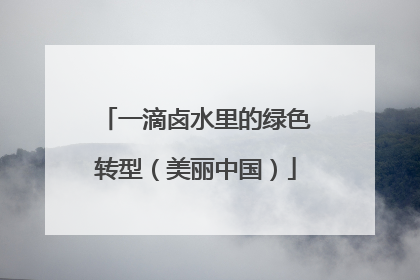 一滴卤水里的绿色转型（美丽中国）