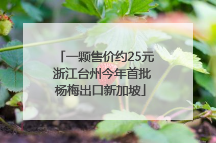 一颗售价约25元 浙江台州今年首批杨梅出口新加坡