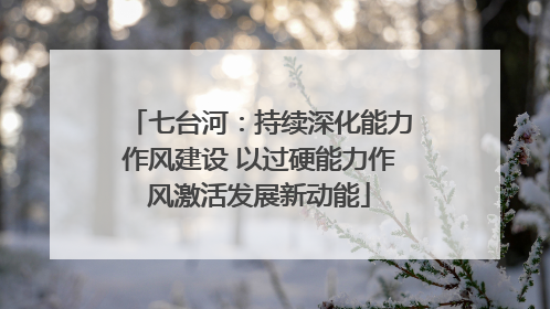 七台河：持续深化能力作风建设 以过硬能力作风激活发展新动能