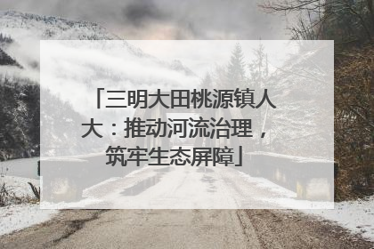 三明大田桃源镇人大：推动河流治理，筑牢生态屏障