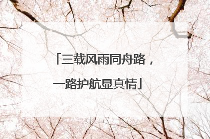 三载风雨同舟路，一路护航显真情