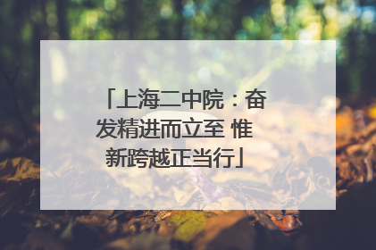 上海二中院：奋发精进而立至 惟新跨越正当行