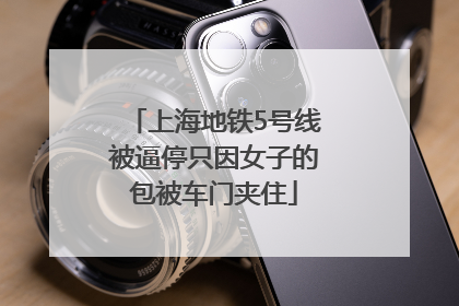 上海地铁5号线被逼停只因女子的包被车门夹住