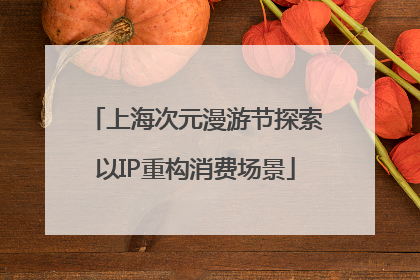 上海次元漫游节探索以IP重构消费场景