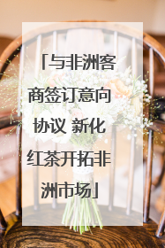 与非洲客商签订意向协议 新化红茶开拓非洲市场