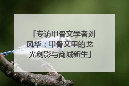 专访甲骨文学者刘风华：甲骨文里的戈光剑影与商城新生