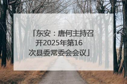东安：唐何主持召开2025年第16次县委常委会会议